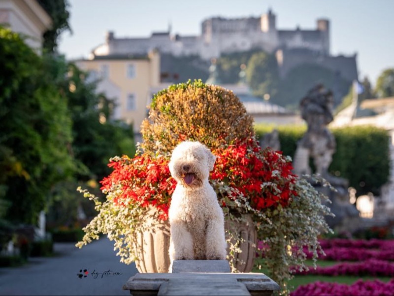 Il Granaio Dei Malatesta Polluce