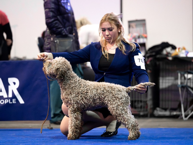 Amaya Della Casa di Matti Amaya Della Casa di Matti